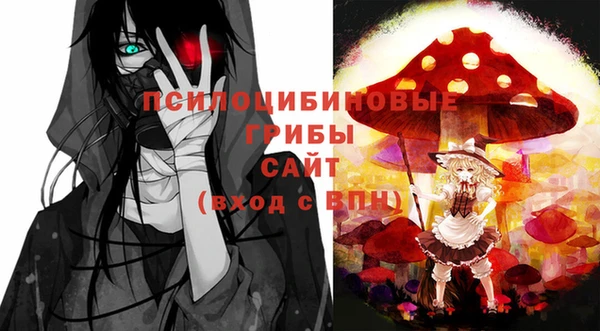 гашик Володарск