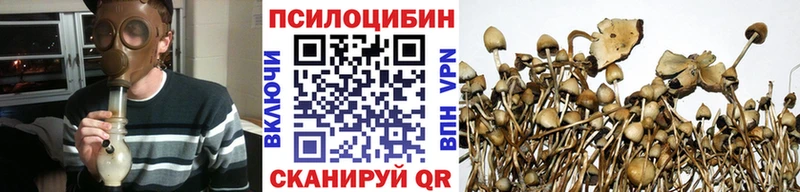 Псилоцибиновые грибы Cubensis  Ува 